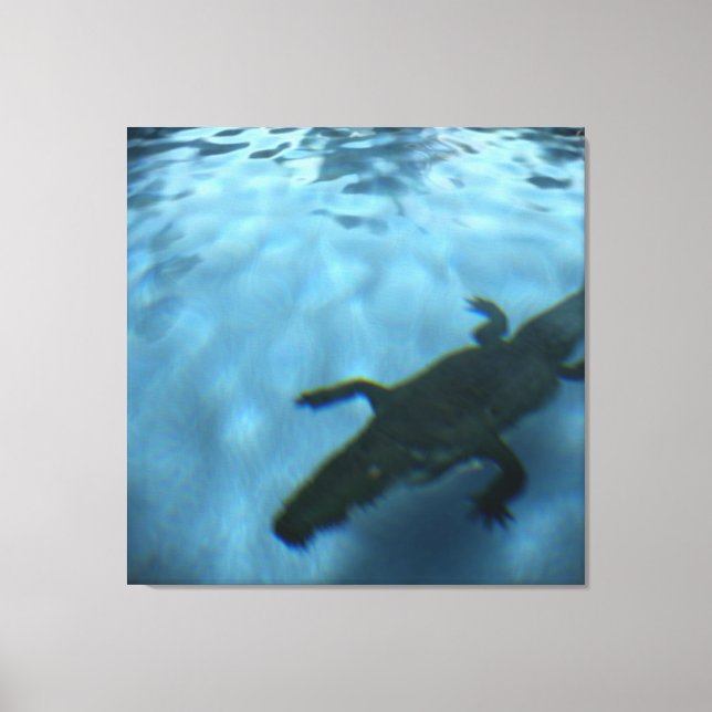 Lienzo Lámina PISCINA DE DAVID SERIES p05b (Anverso)