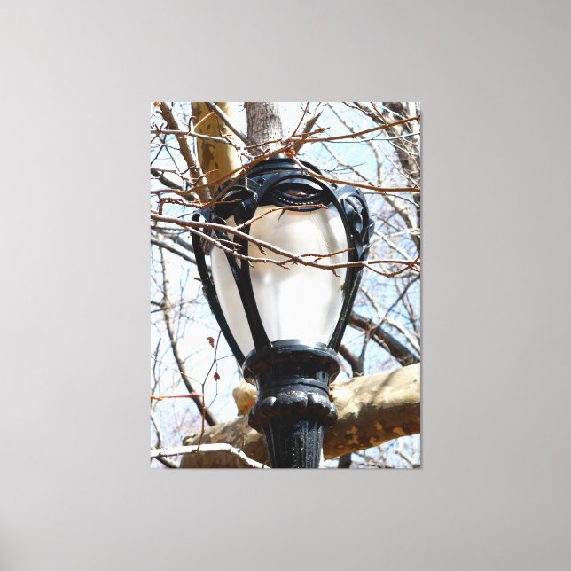 Lienzo Lamp Post New York Central Park (Anverso)