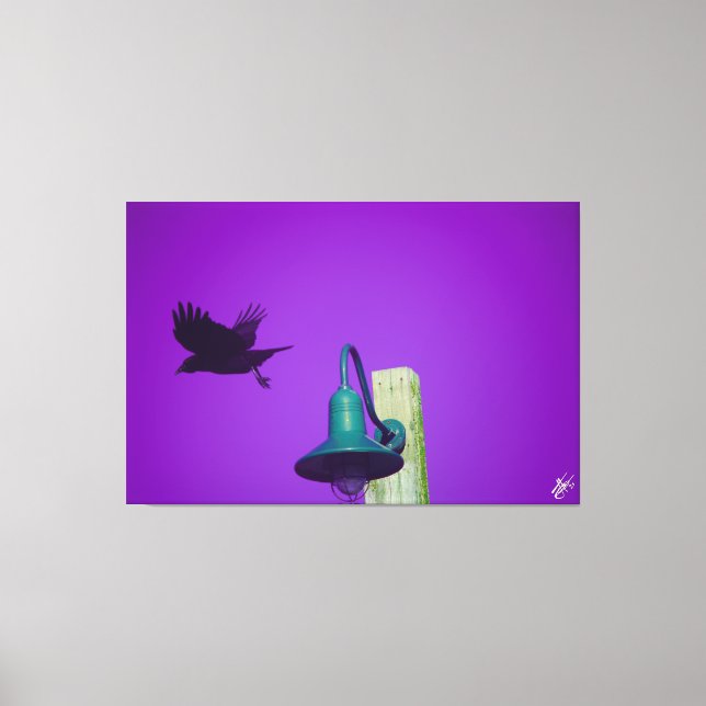 Lienzo Langley Crow en Light Post Series #1 (Anverso)