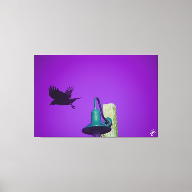 Lienzo Langley Crow en Light Post Series #1 (Anverso)