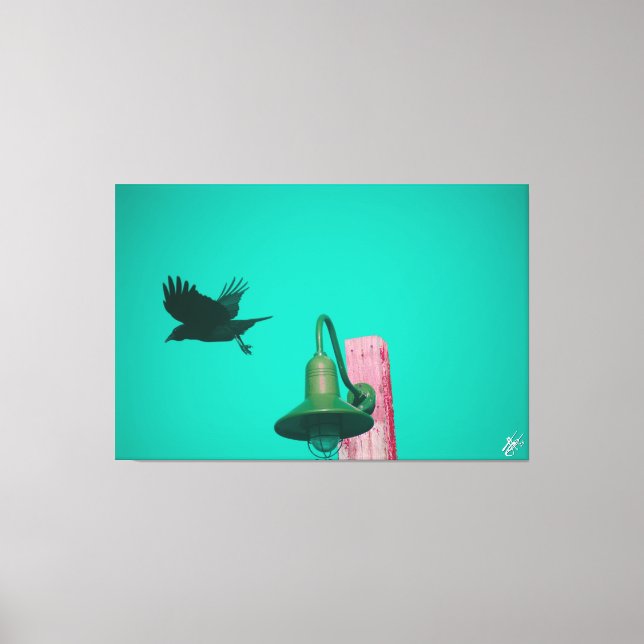 Lienzo Langley Crow en Light Post Series #11 (Anverso)