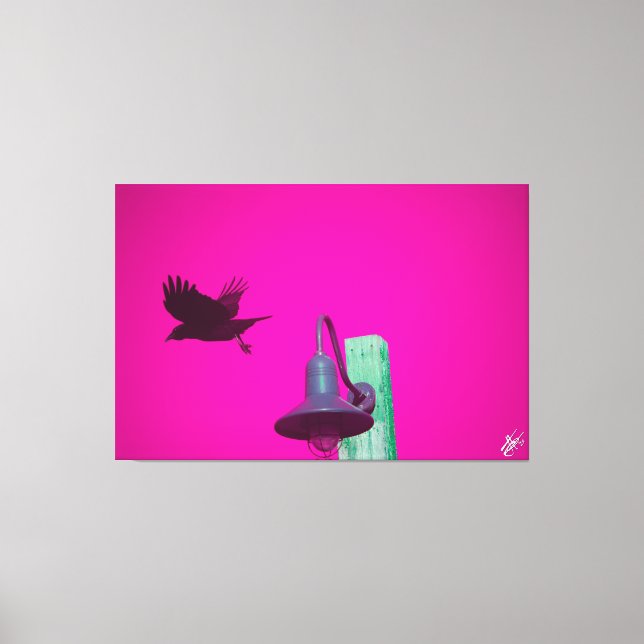 Lienzo Langley Crow en Light Post Series #12 (Anverso)