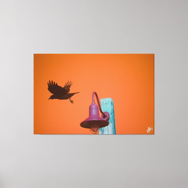 Lienzo Langley Crow en Light Post Series #2 (Anverso)