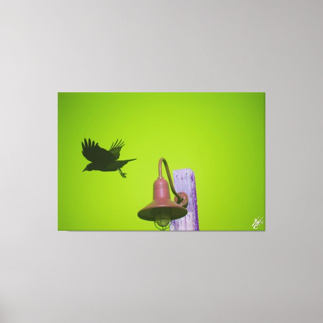Lienzo Langley Crow en Light Post Series #5 (Anverso)