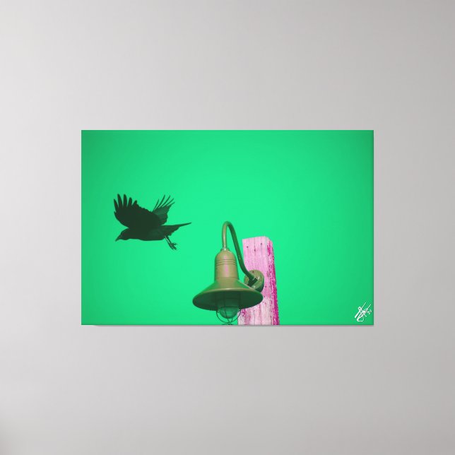 Lienzo Langley Crow en Light Post Series #7 (Anverso)