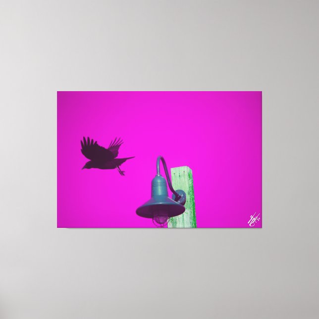 Lienzo Langley Crow en Light Post Series #8 (Anverso)