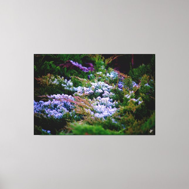 Lienzo Langley Waterfront #5 (Anverso)