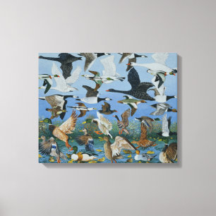 Lienzo Lanzamiento de 1996