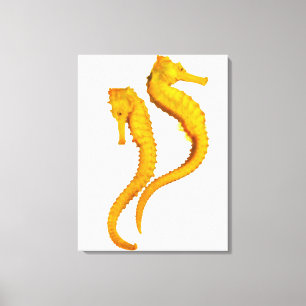 Lienzo Lanzamiento de dos caballos de mar en un fondo