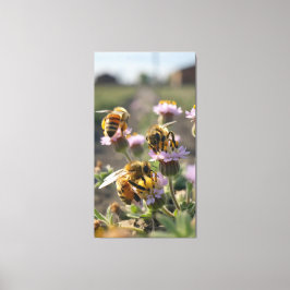 Lienzo Las abejas recogen polen de flores silvestres en l