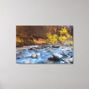 Lienzo Las Agujas Del Río Virgen En El Otoño