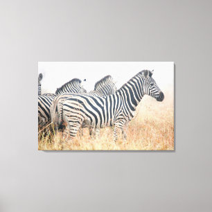 Lienzo Las cebras en madrugada sacan el polvo, el
