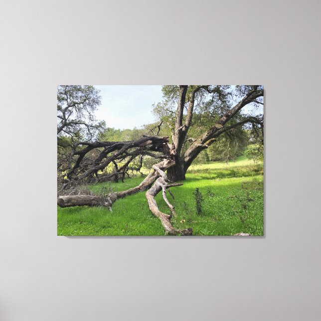 Lienzo Las colinas de Los Altos (Anverso)