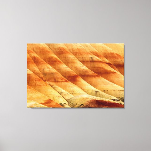 Lienzo Las Colinas Pintadas En Las Camas Fósiles John Day (Anverso)