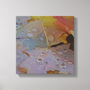 Lienzo las gotas de lluvia siguen cayendo en mi hoja