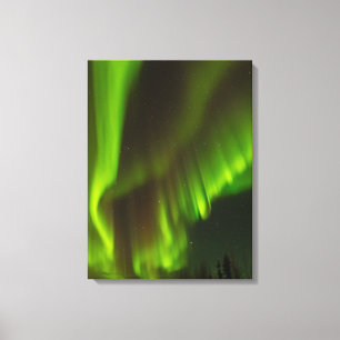 Lienzo Las Luces del Norte   Fairbanks, Alaska