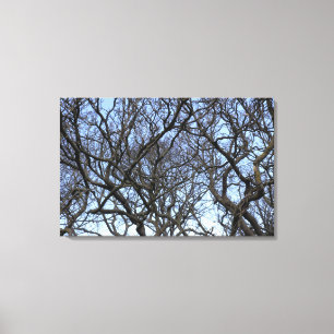 Lienzo Las ramas de la Magnolia de Invierno a principios