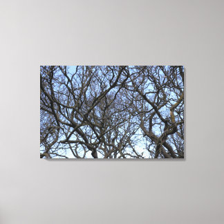 Lienzo Las ramas de la Magnolia de Invierno a principios 
