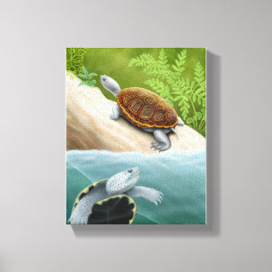 Lienzo Las tortugas de la tortuga acuática de Diamondbac