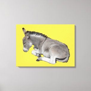 Lienzo Lástima de burro de bebé durmiendo