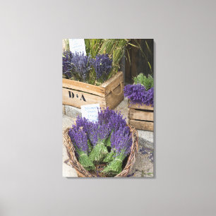 Lienzo Lavanda a la venta, Provenza, Francia