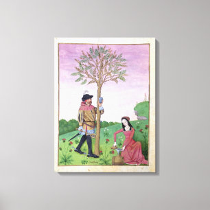 Lienzo Lavanda, Hellebore, y pariente del pepino