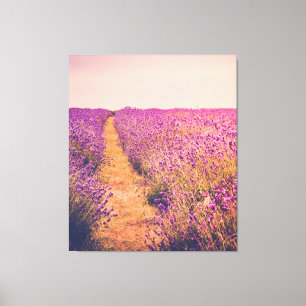 Lienzo Lavander