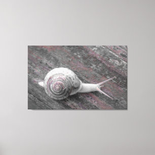 Lienzo LavishlyOn Moderne Pink Gray Snail En La Acera