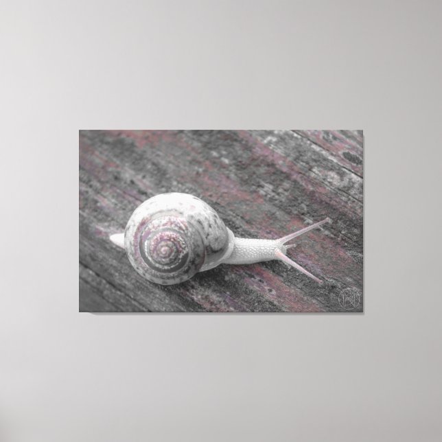 Lienzo LavishlyOn Moderne Pink Gray Snail En La Acera (Anverso)