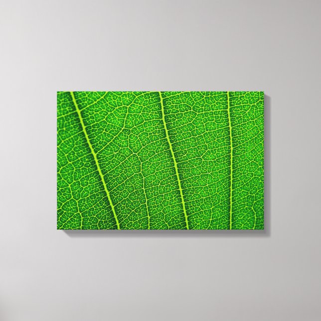 Lienzo Leaf (Anverso)