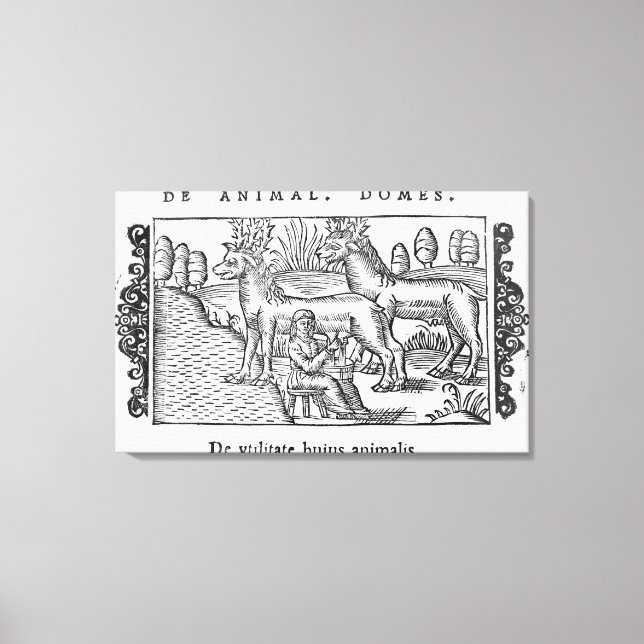 Lienzo Lechando renos (Anverso)