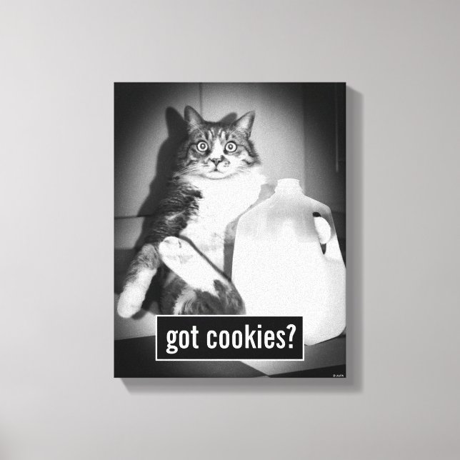 Lienzo Leche de gato de jug (Anverso)