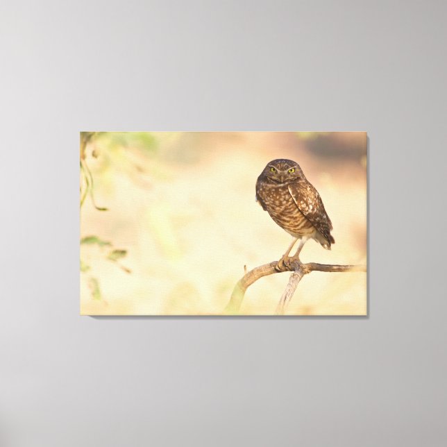 Lienzo Lechuza Ardiente (Anverso)