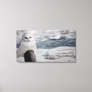 Lienzo Lechuza De Nieve En Prarie