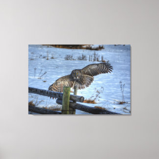 Lienzo Lechuza gris y cerca en nieve II