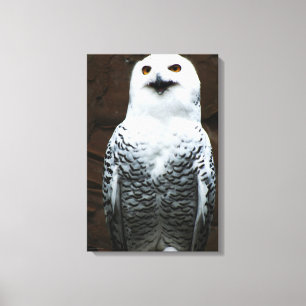 Lienzo Lechuza nevada 16x24 (40x60cm) waccnm