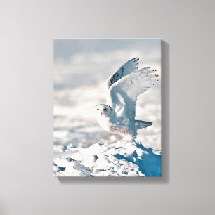 Lienzo Lechuza nevada despegando de la nieve