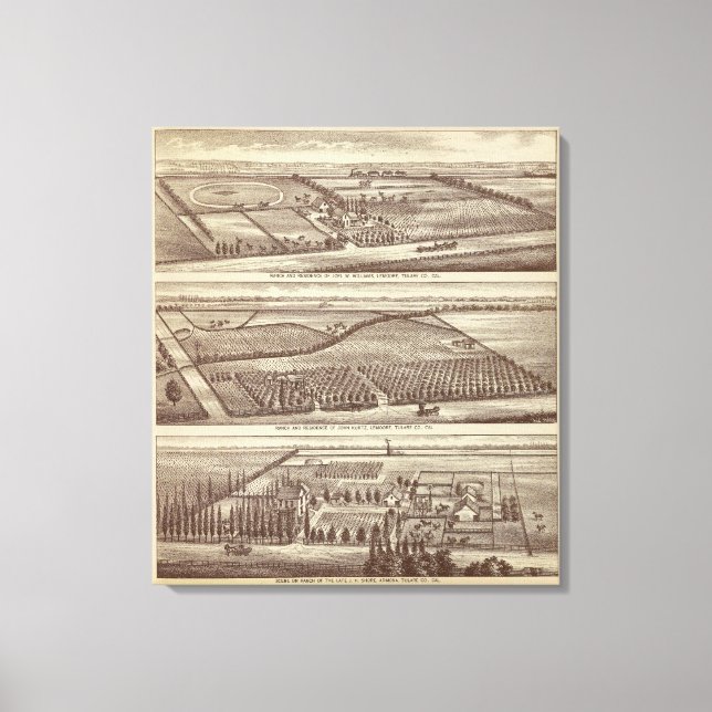 Lienzo Lemoore, ranchos de Armona (Anverso)