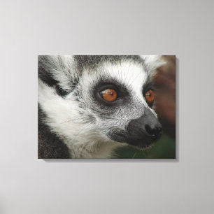 Lienzo Lemur