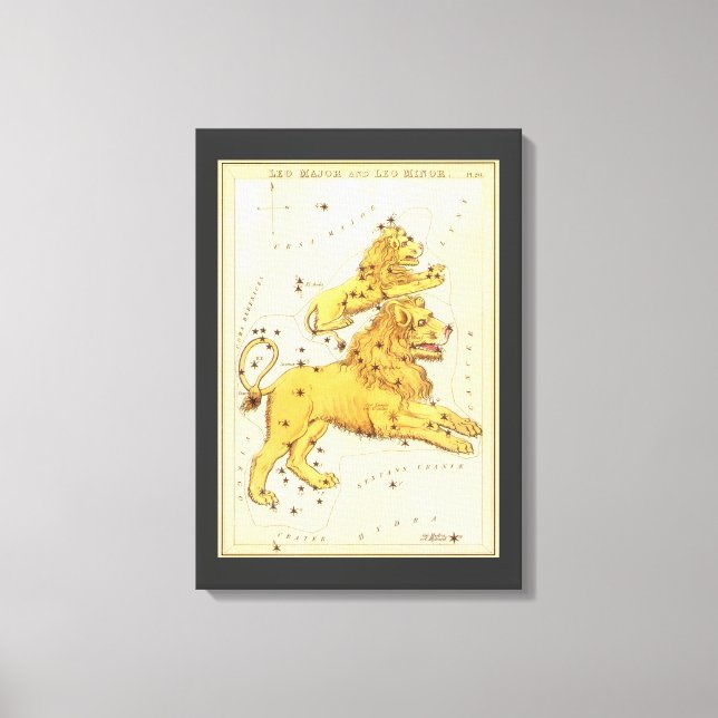 Lienzo Leo el León Constelación Antigua Espejo de Urania (Anverso)
