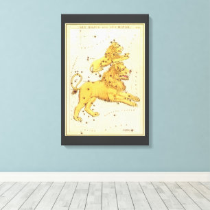 Lienzo Leo el León Constelación Vintage Espejo de Urania