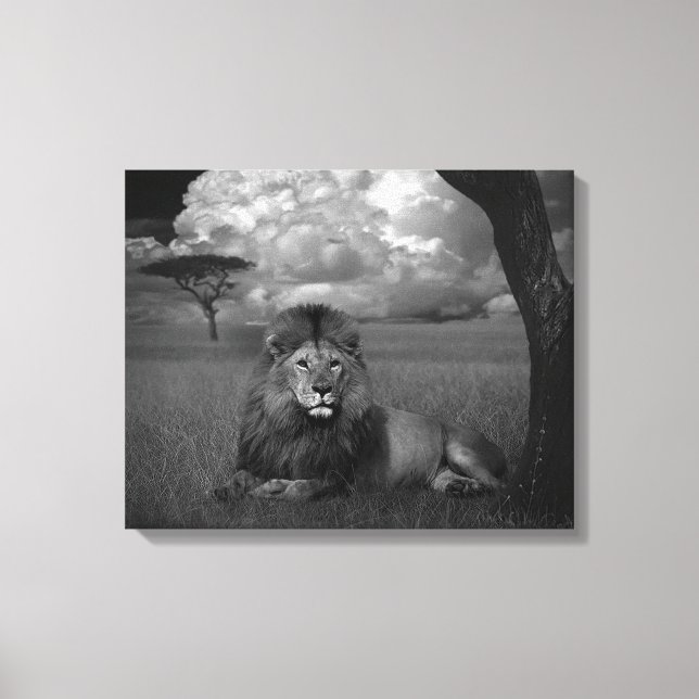 Lienzo León en la hierba (Anverso)