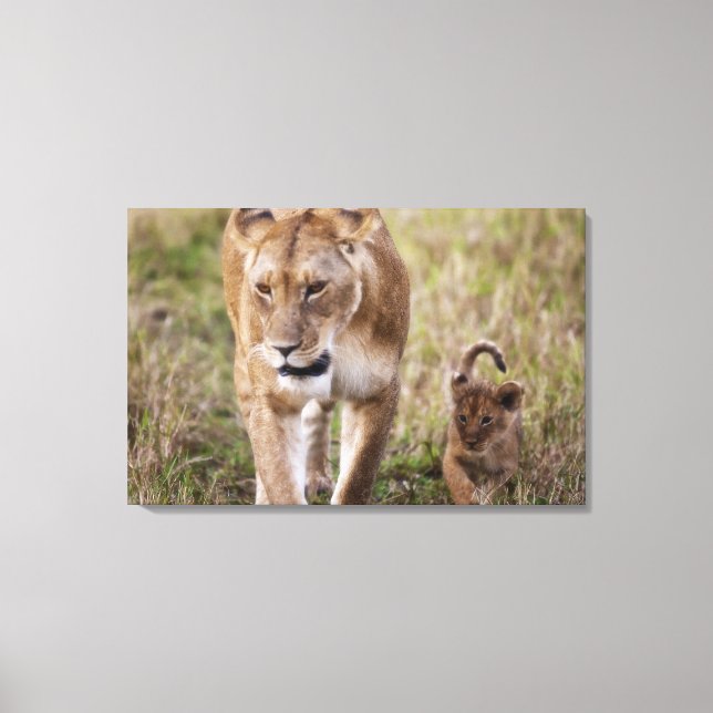 Lienzo León femenino con cachorro (Anverso)
