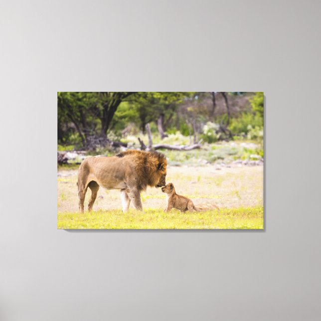 Lienzo León macho alfa inspecciona el cubo (Anverso)