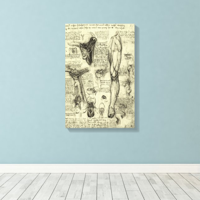 Lienzo Leonardo da Vinci Anatomía Humana Antigua Laringe  (Insitu (piso de madera))