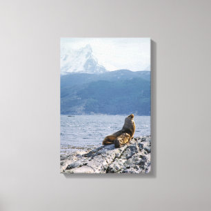 Lienzo Leones marinos en el canal de Beagle - Argentina