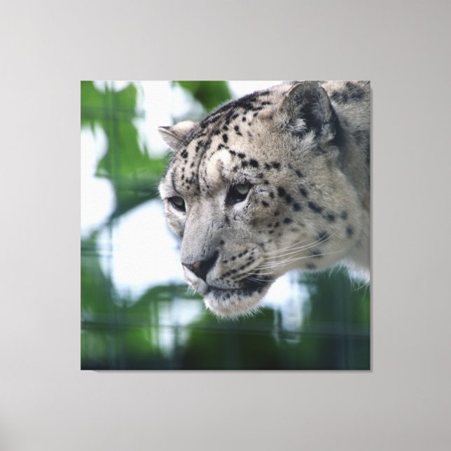 Lienzo Leopard 003 (Anverso)