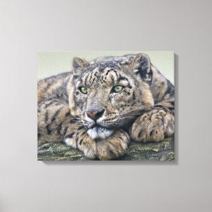 Lienzo Leopard Dreaming Wraped Canvas