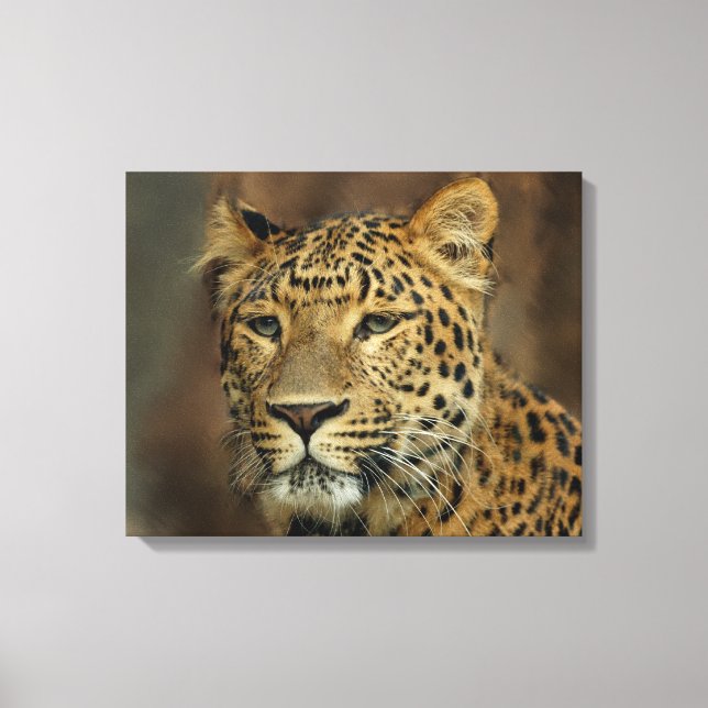 Lienzo Leopard Lovers (Anverso)