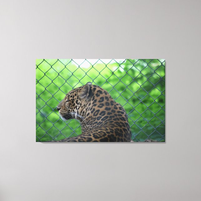 Lienzo Leopardo (Anverso)